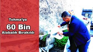 Tohma’ya 60 Bin Balık Bırakıldı