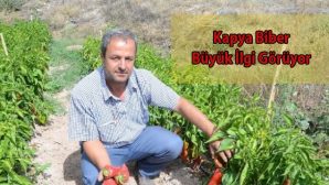 Darende Kapya Biber Üretiminde Marka Olma Yolunda