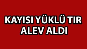 Kayısı Yüklü Tır Alev Aldı